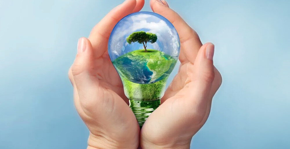 Lodówka HISENSE RB440N4WFE tryb eco oszczędności