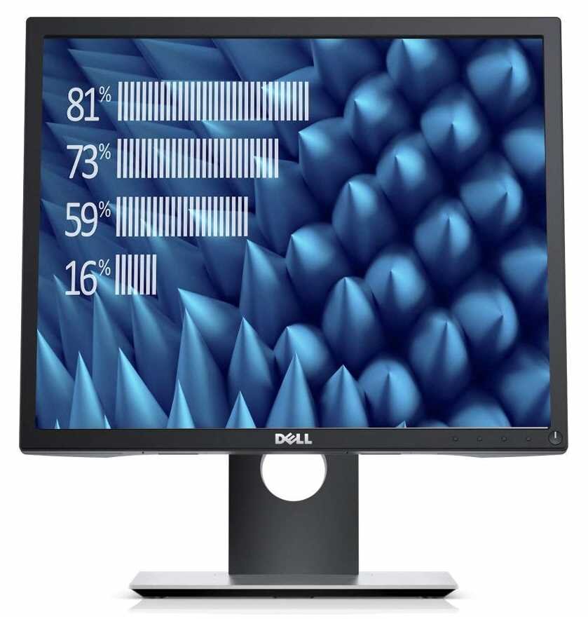 Monitor DELL P1917S