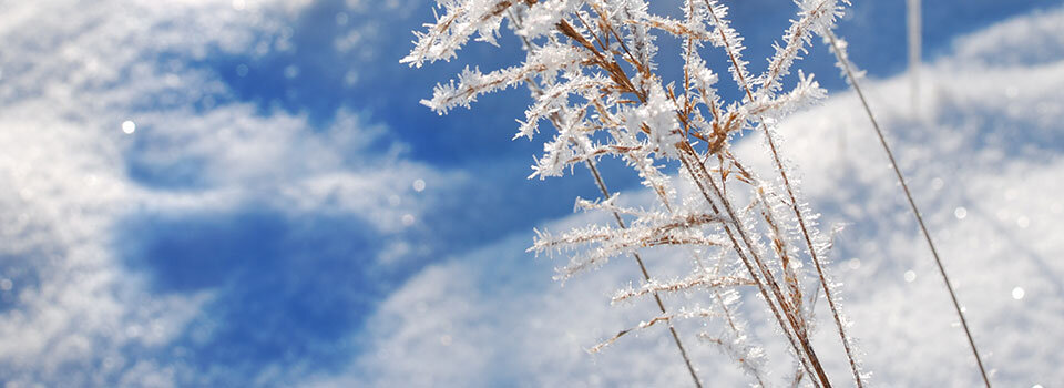 Kamera sportowa KODAK SP1 Extreme Pack widok mróz niskie temperatury