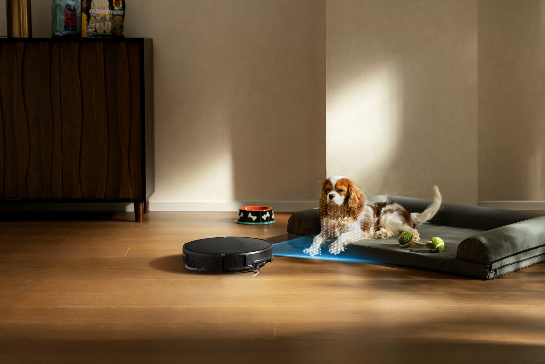 Na drewnianej podłodze znajduje się czarny robot sprzątający. Obok leży pies na legowisku z zabawkami.