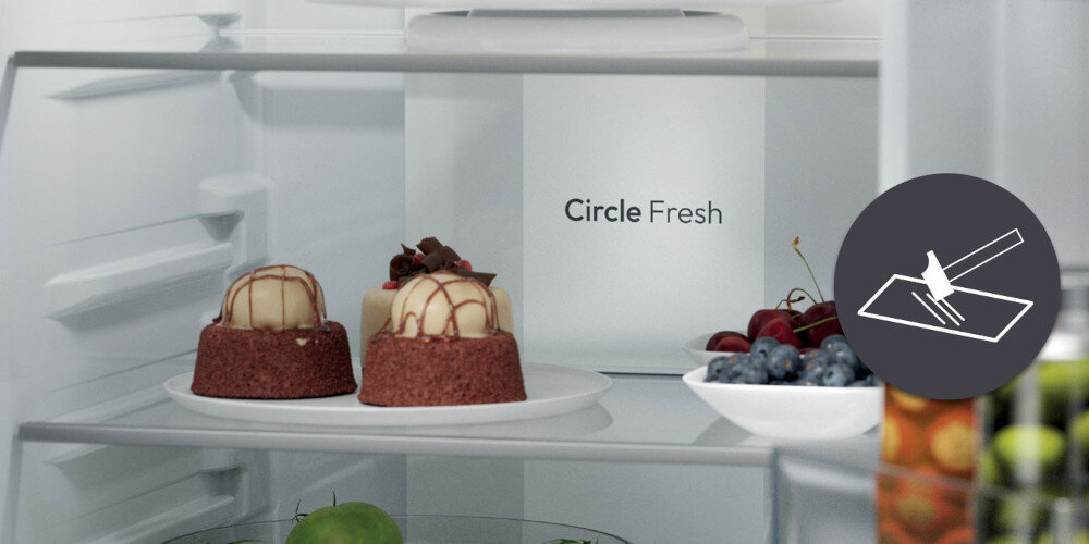 LODÓWKA CANDY ECNBQT3518E FRESCO 400 wizualizacja wnętrze półka desery owoce szklane półki szkło hartowane bezpieczne trwałe łatwe czyszczenie