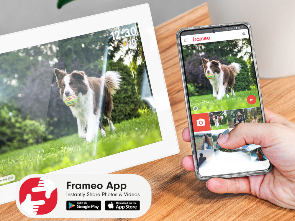 Na drewnianym blacie stoi biała ramka cyfrowa wyświetlająca zdjęcie psa z piłką w pysku, obok której znajduje się smartfon z aplikacją Frameo pokazującą to samo zdjęcie. W dolnym rogu widoczne jest logo Frameo App z tekstem \'Instantly Share Photos & Videos\' oraz ikonami Google Play i App Store.