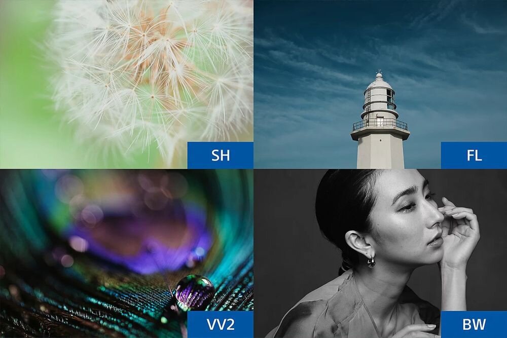 Obraz podzielony na cztery części, każda z innym zdjęciem: zbliżenie dmuchawca z oznaczeniem \'SH\', latarnia morska na tle nieba z oznaczeniem \'FL\', kolorowe pióro z kroplą wody z oznaczeniem \'VV2\', oraz czarno-białe zdjęcie kobiety z oznaczeniem \'BW\'.