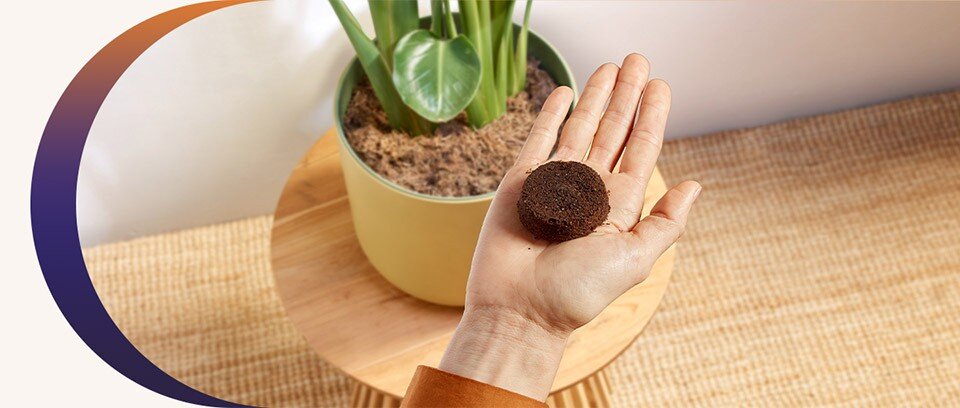 fusy po kawie możesz kompostować