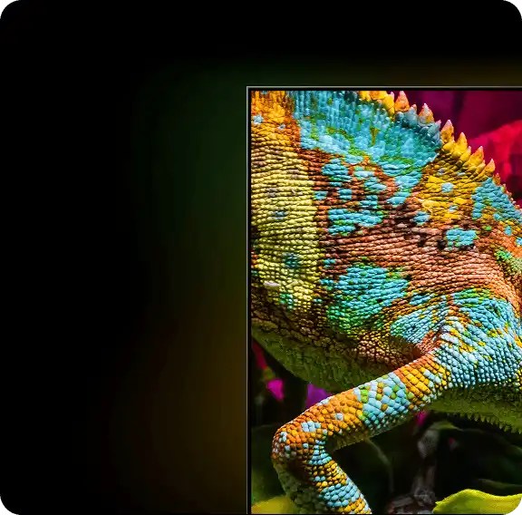 Zbliżenie na kolorowego kameleona i oznaczenia Certyfikat Pantone i 30% więcej koloru niż zwykły LED TV (Light Emitting Diode)