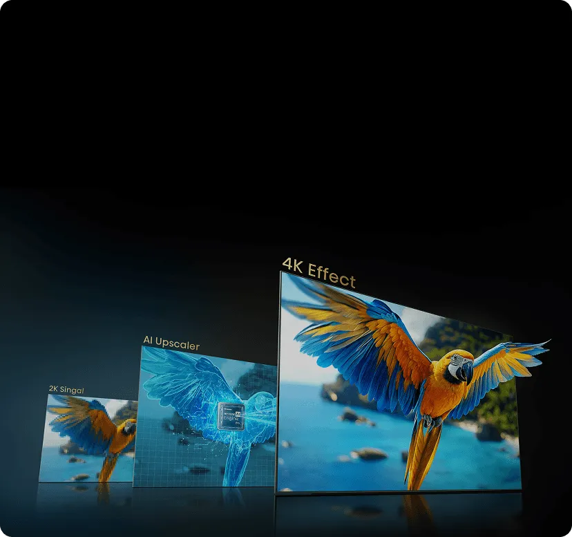 Obraz przedstawia trzy ekrany z papugą, każdy z różną jakością obrazu: 2K Signal, AI Upscaler i 4K Effect. Papuga na ekranie 4K jest najbardziej szczegółowa i kolorowa.