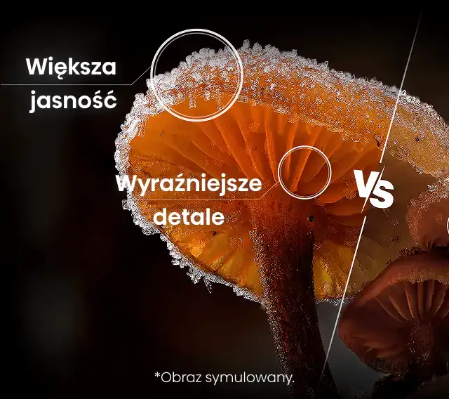Porównanie detali na zbliżeniu grzybów; prawa strona rozmyta, lewa wyraźna z napisami: większa jasność, wyraźniejsze detale