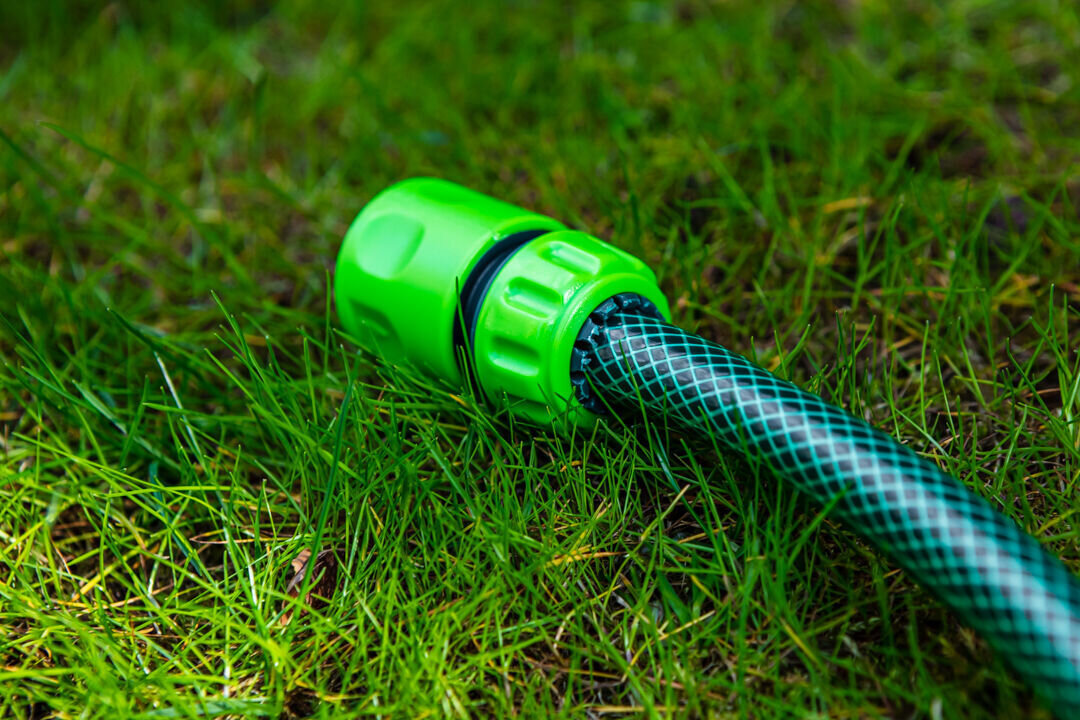 Wąż ogrodowy VERTO Economic 3/4 50 m 15G805, rozwinięcie, szpula, przenoszenie, średnica, na trawniku leży wąż z końcówką podłączeniową