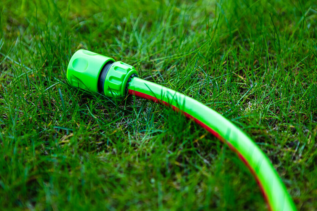 Wąż ogrodowy VERTO Professional 3/4 30 m 15G824, UV, chronić, elastyczność, kolor, w tle trawnik, wąż ogrodowy leży na trawniku wraz z końcówką podłączeniową