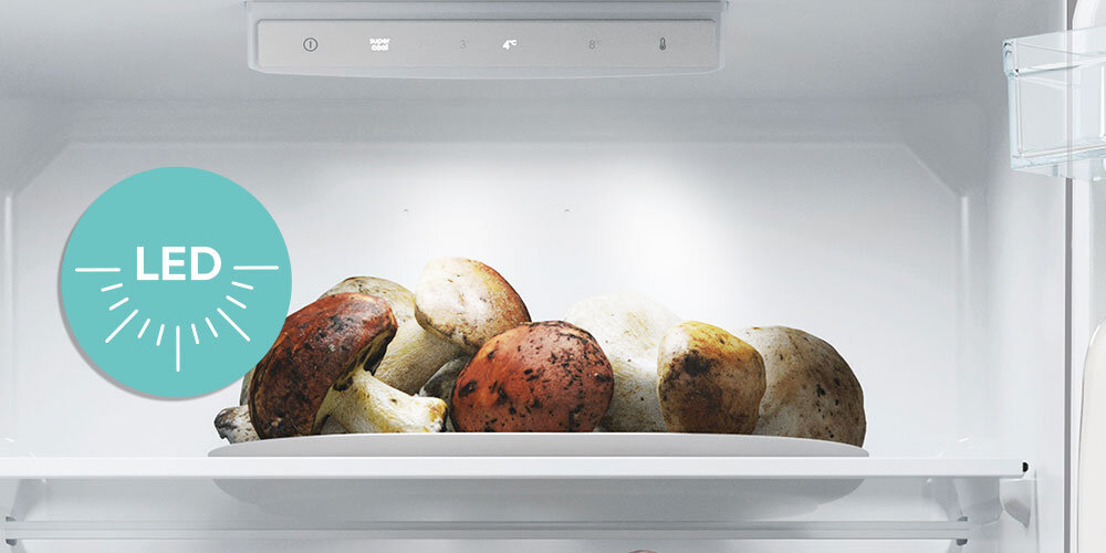 LODÓWKA CANDY CCT3L517EW wizualizacja ikona górne światło panel półka grzyby na talerzu Wydajne oświetlenie LED jasność widoczność wnętrza