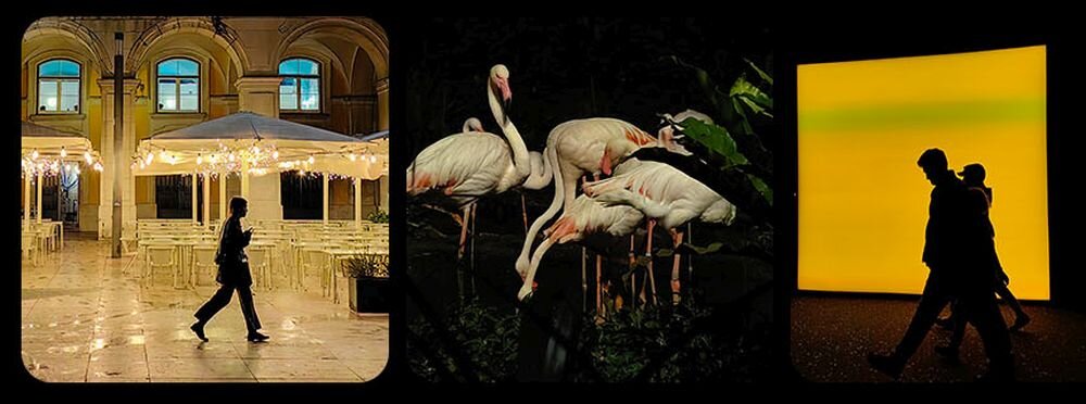 Smartfon HUAWEI P60 Pro  ekran bateria aparat procesor ram pamięć pojemność rozdzielczość zdjęcia filmy opis dane cechy blokady system łączność wifi bluetooth obudowa szkło odporność porty muzyka transfer sieć przekątna matryca waga czujniki oled amoled ips