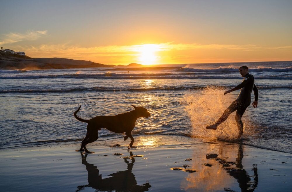 Obiektyw NIKON AF-S Nikkor 24-70mm f-2.8E ED VR człowiek bawi się z psem na plaży