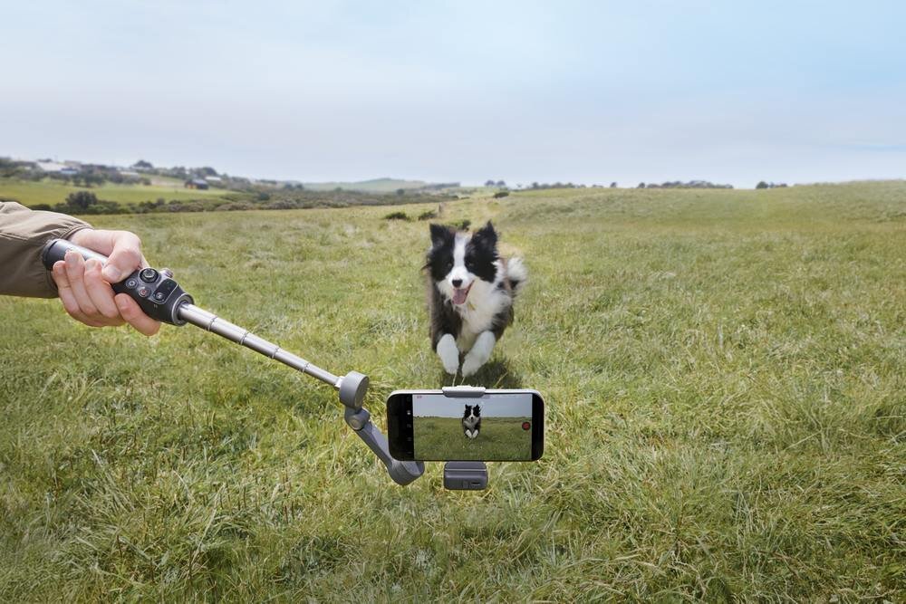 Gimbal DJI Osmo Mobile 7P  nagrywanie psa na łące  