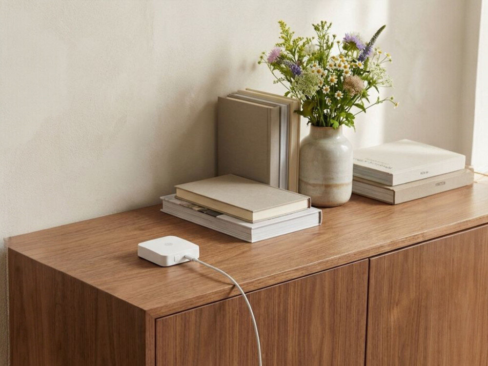 Bramka PSG 63.850, zdalny, dostęp, zamek, WiFi, Bramka Wi-Fi podłączona kablem na komodzie obok wazonu z kwiatami