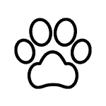 Odkurzacz Samsung VS20B95973B - ikona - Pet Tool: Media Expert