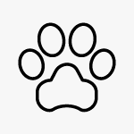 Elektroszczotka do usuwania sierści