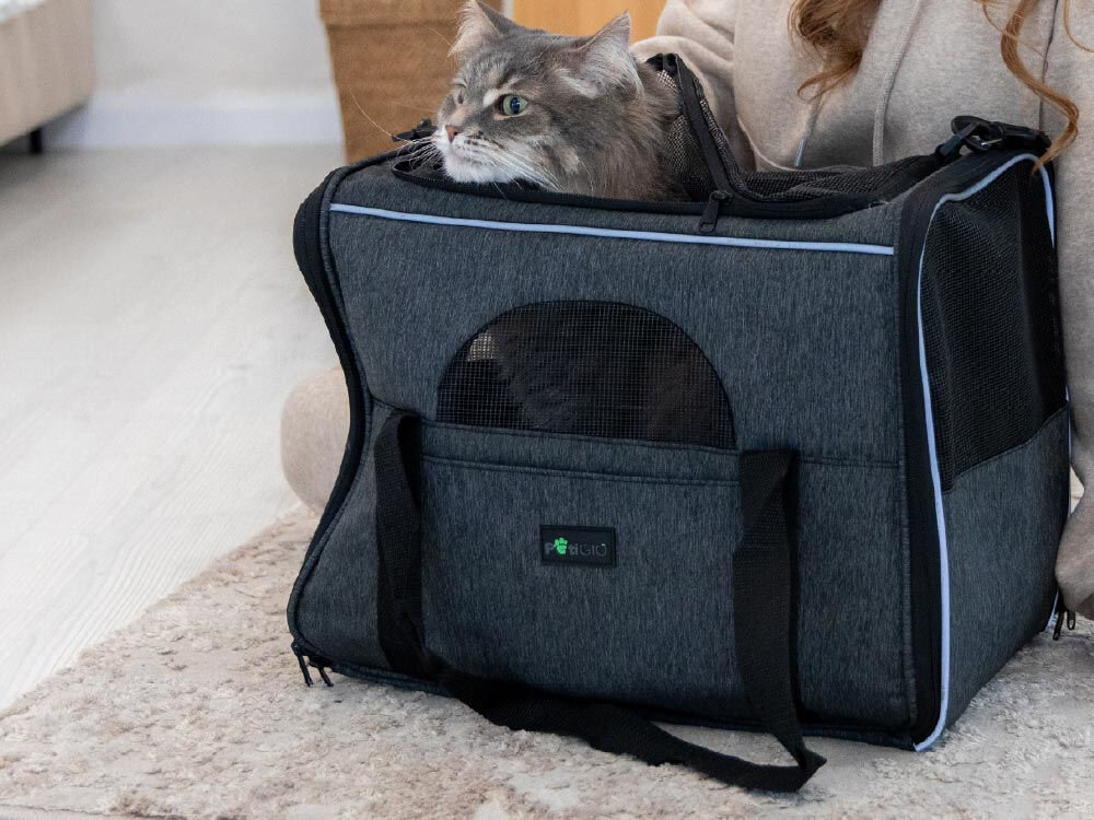 Kobieta otwierająca górną klapę szarej torby transportowej, przez którą zagląda puszysty szary kot.