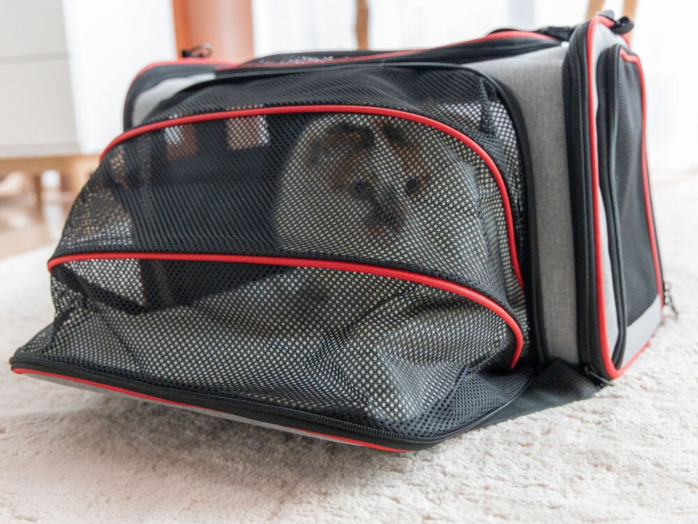 Torba transportowa dla kota z rozłożonym bocznym rozszerzeniem z siatki, tworzącym dodatkową przestrzeń wypoczynkową dla pupila.
