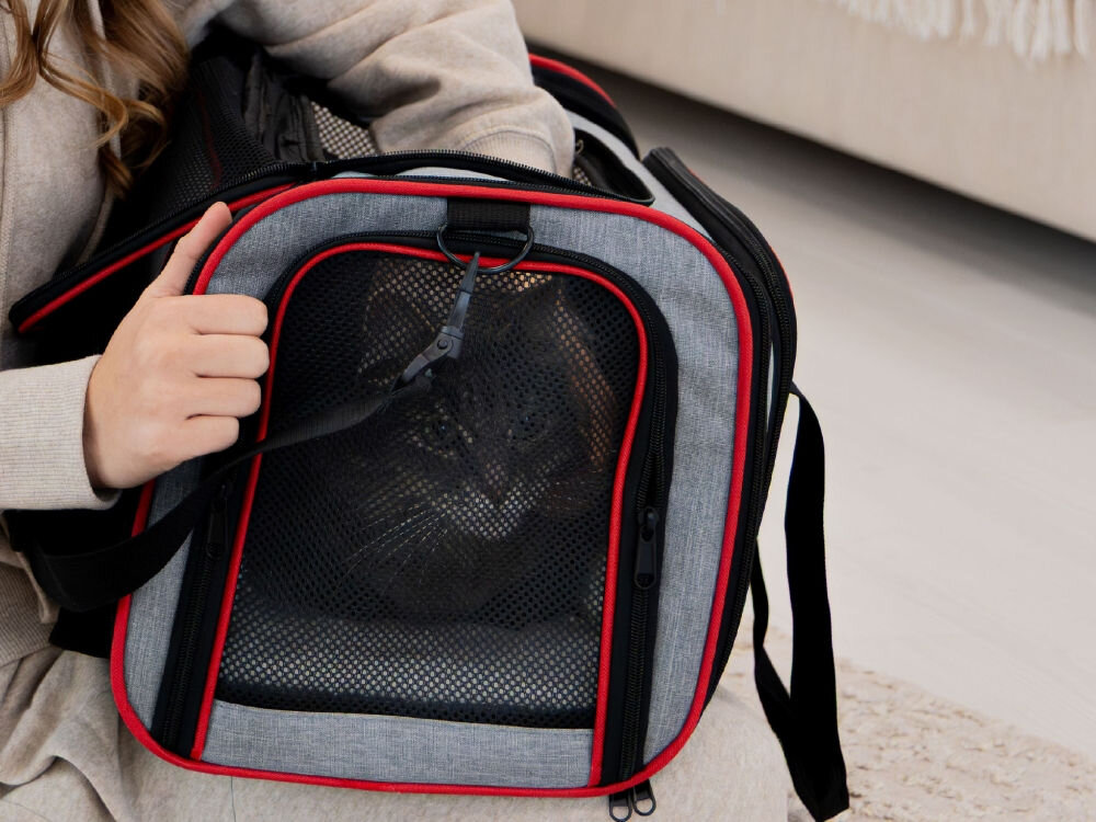 Zbliżenie na boczną ściankę torby transportowej z czarną siatką i czerwonym wykończeniem, przez którą zagląda kot.