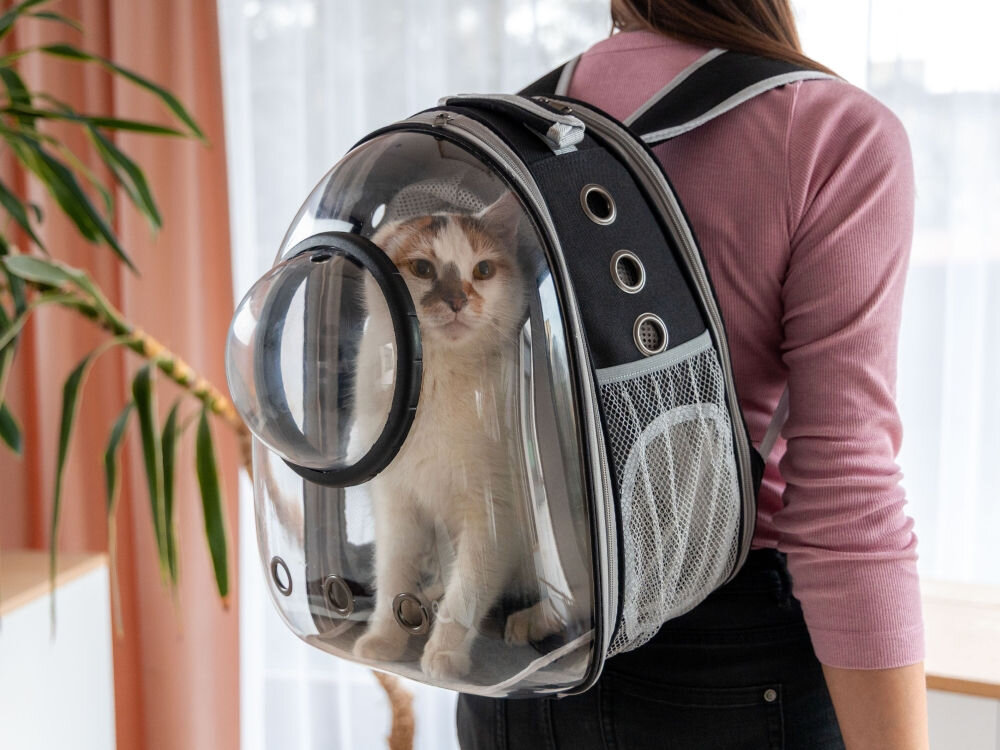 Kobieta w różowej bluzce z plecakiem-nosidłem dla zwierząt, w którym siedzi biało-rudy kot, patrzący przez przezroczystą półkulę. Tło stanowi pokój z oknem i rośliną.