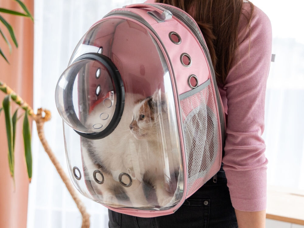 Widok z boku na różowy plecak transportowy założony na plecy, z białym kotem wyglądającym przez przezroczysty front.
