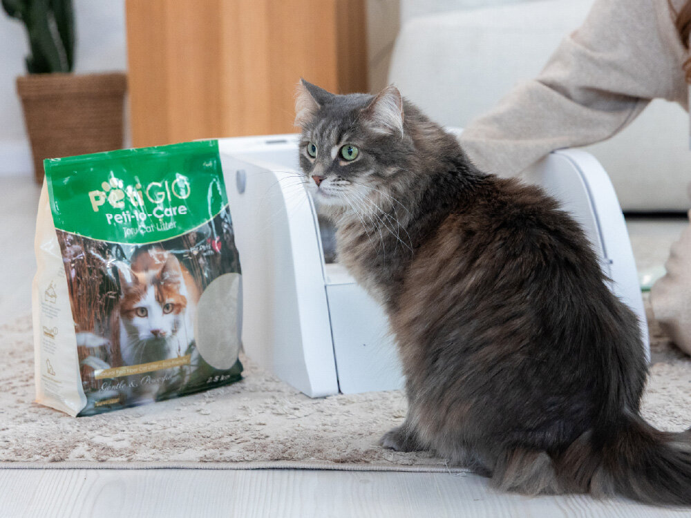 Żwirek tofu Green Tea PetiGIO Peti-to-Care PETI-261 Szary puszysty kot siedzi na dywanie obok opakowania ekologicznego żwirku tofu Peti-to-Care. W tle widoczny jest fragment białej automatycznej kuwety oraz osoba głaszcząca zwierzę.