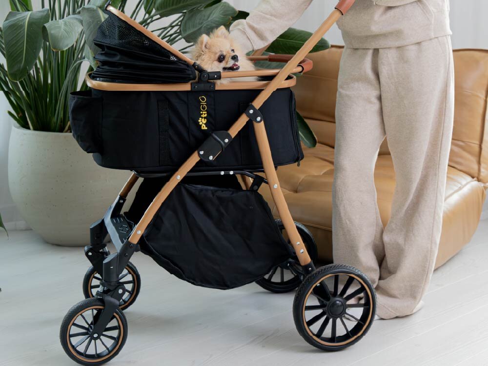 Wózek dla zwierząt PETIGIO Peti-to-Travel PETI-705-B Beżowo-czarny wózek dla psa PettiGio z puszystym Pomeranianem w środku, stojący obok nóg osoby w beżowym dresie w jasnym wnętrzu z rośliną doniczkową.