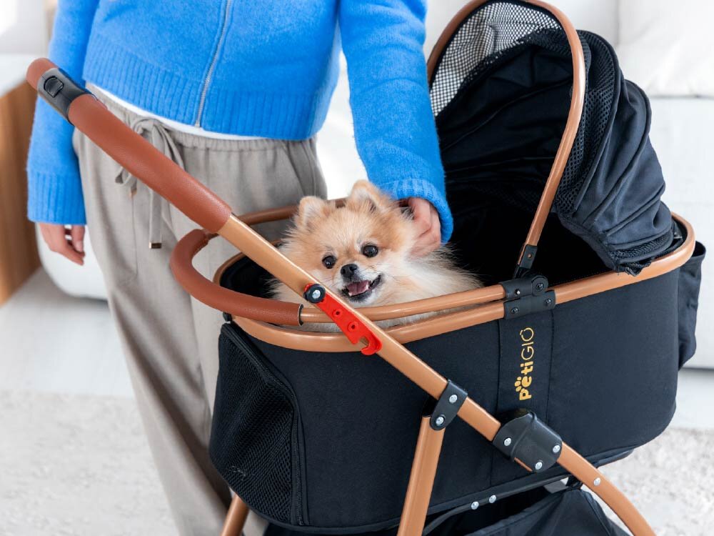 Wózek dla zwierząt PETIGIO Peti-to-Travel PETI-705-B Zbliżenie z boku na osobę w niebieskiej bluzie głaszczącą puszystego Pomeraniana w czarnym wózku dla psa PettiGio z brązowymi uchwytami i ramą.