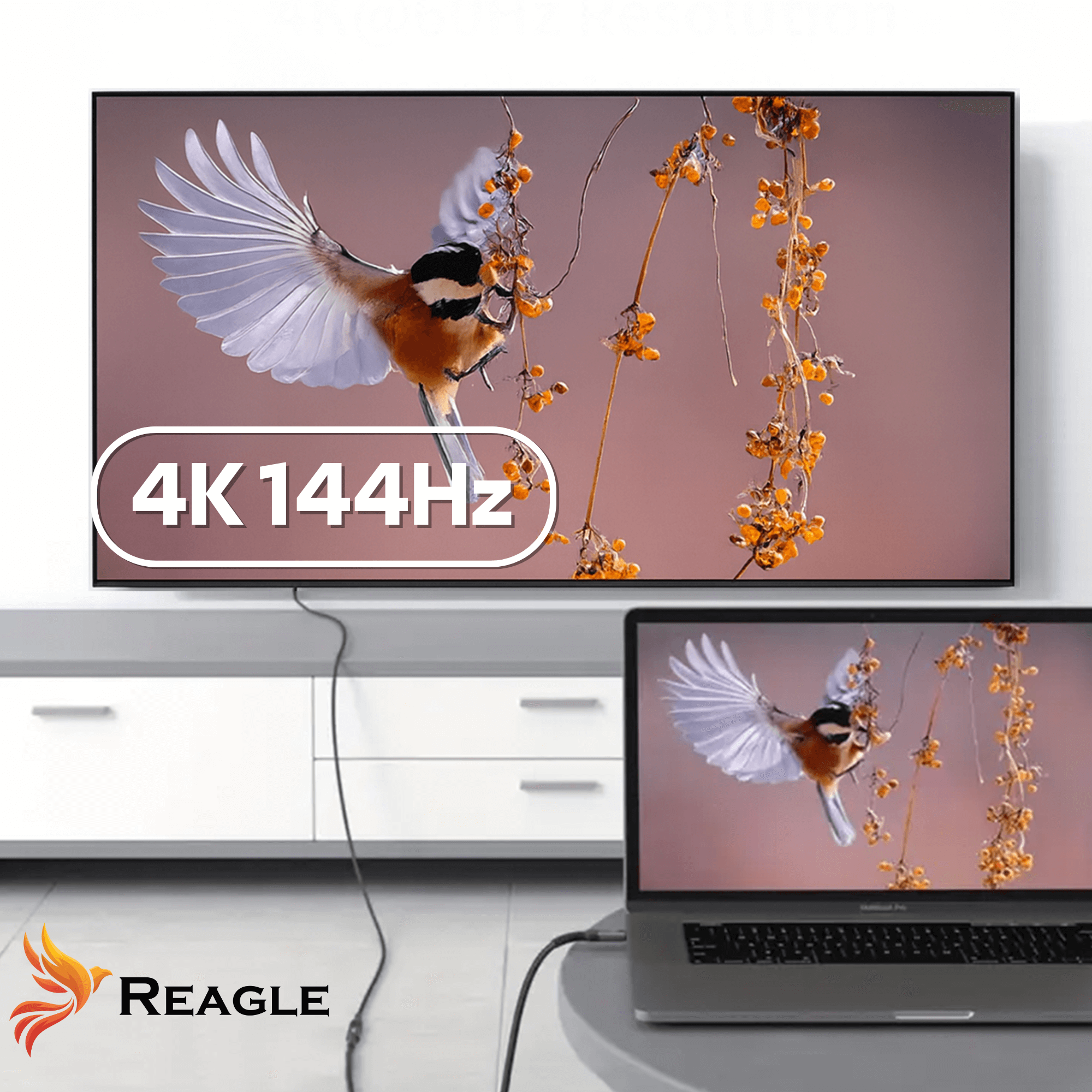 Na obrazie widać telewizor i laptop wyświetlające ten sam obraz ptaka na tle gałązek z owocami. Na ekranie telewizora widoczny jest napis \'4K 144Hz\', a w lewym dolnym rogu znajduje się logo Reagle.