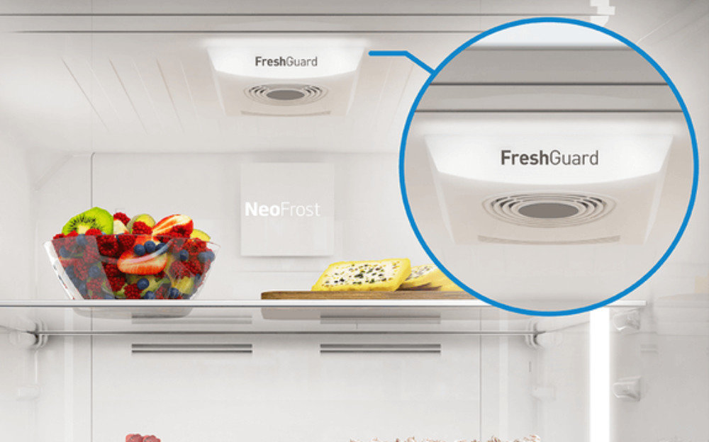 Lodówka BEKO GN162333ZGB - Filtr Antyzapachowy
