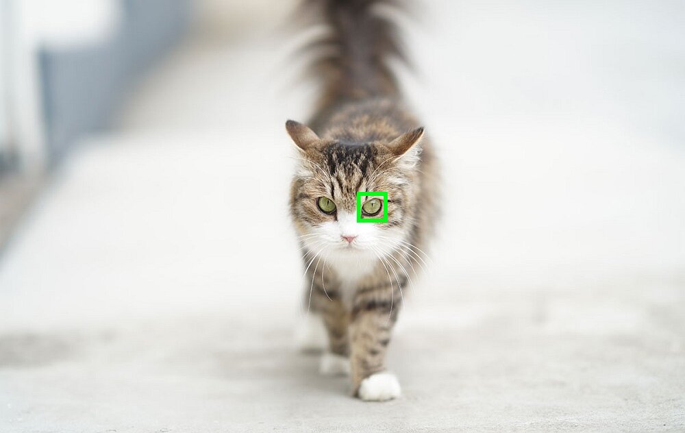 Aparat SONY Alpha ILCE-7C  obiektyw zdjęcia matryca rozdzielczość zoom stabilizacja filmy 