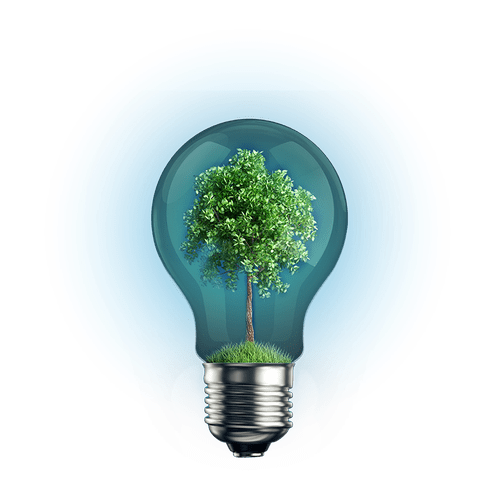 Żarówka z przezroczystą bańką, wewnątrz której znajduje się małe drzewo na zielonej trawie. Wokół żarówki widoczna jest niebieska poświata.