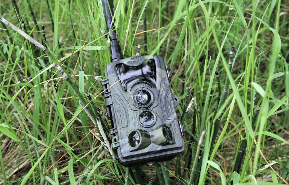 Fotopułapka EL-HOME 02G6 V2 Zielony trwałość szczelność temperatura praca