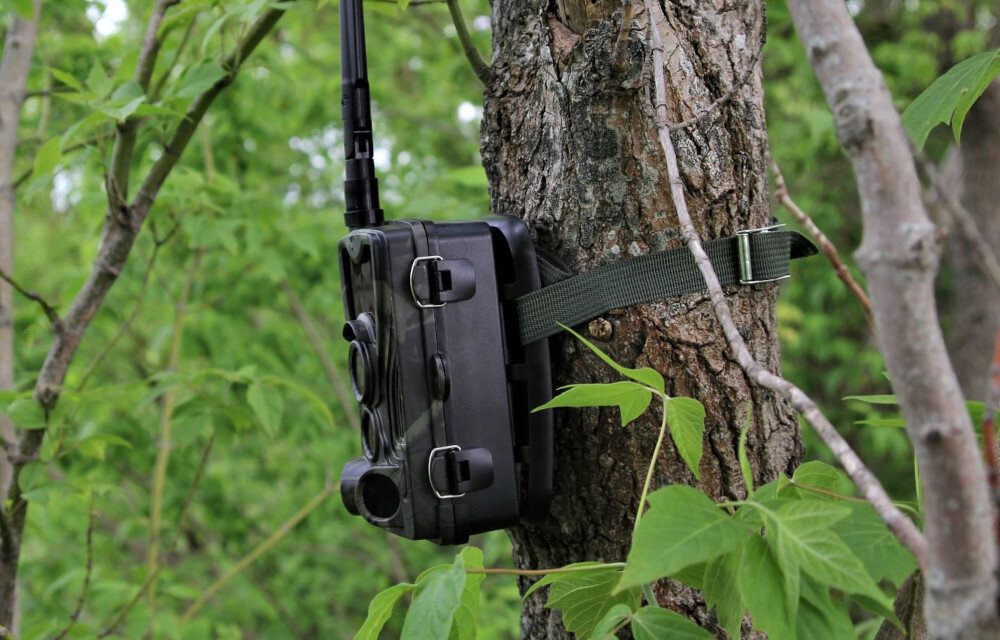 Fotopułapka EL-HOME 02G6 V2 Zielony jakość obraz przetwornik podczerwień rozdzielczość