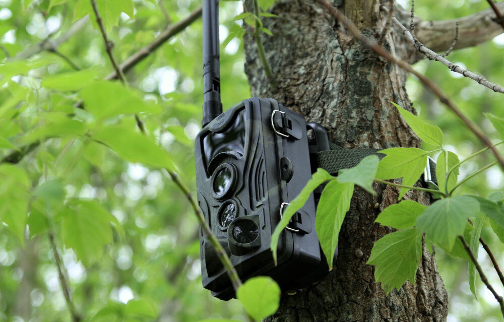 Fotopułapka EL-HOME 02G6 V2 Zielony obsługa ustawienia wyświetlacz przekątna