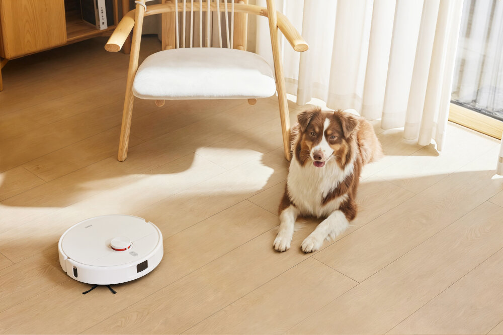 Na drewnianej podłodze znajduje się biały robot sprzątający oraz pies leżący obok krzesła. W tle widoczne są zasłony i fragment mebla.