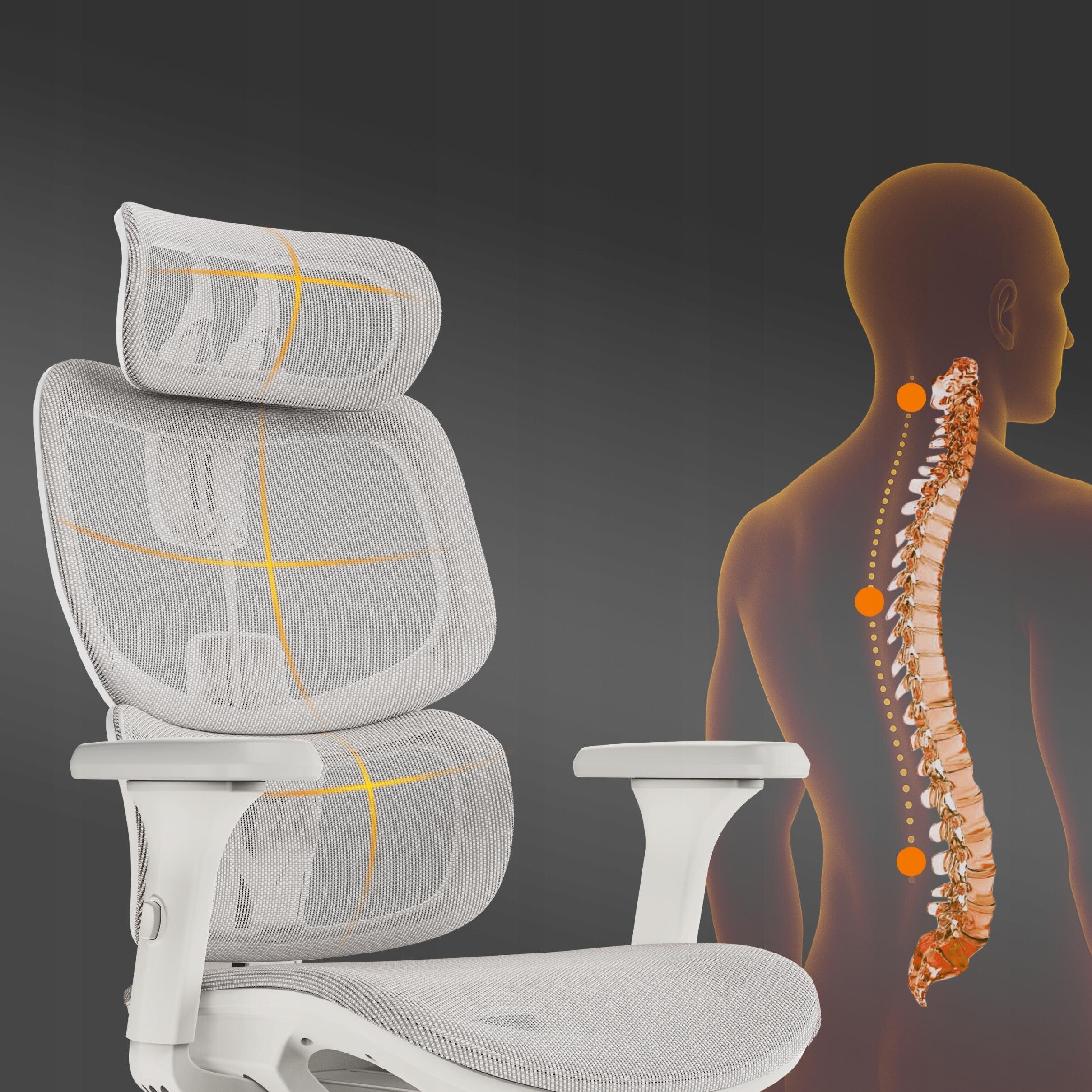 Jasnoszare, ergonomiczne krzesło biurowe z siatkowym oparciem i zagłówkiem, obok którego widoczna jest ilustracja ludzkiego kręgosłupa z zaznaczonymi punktami nacisku.
