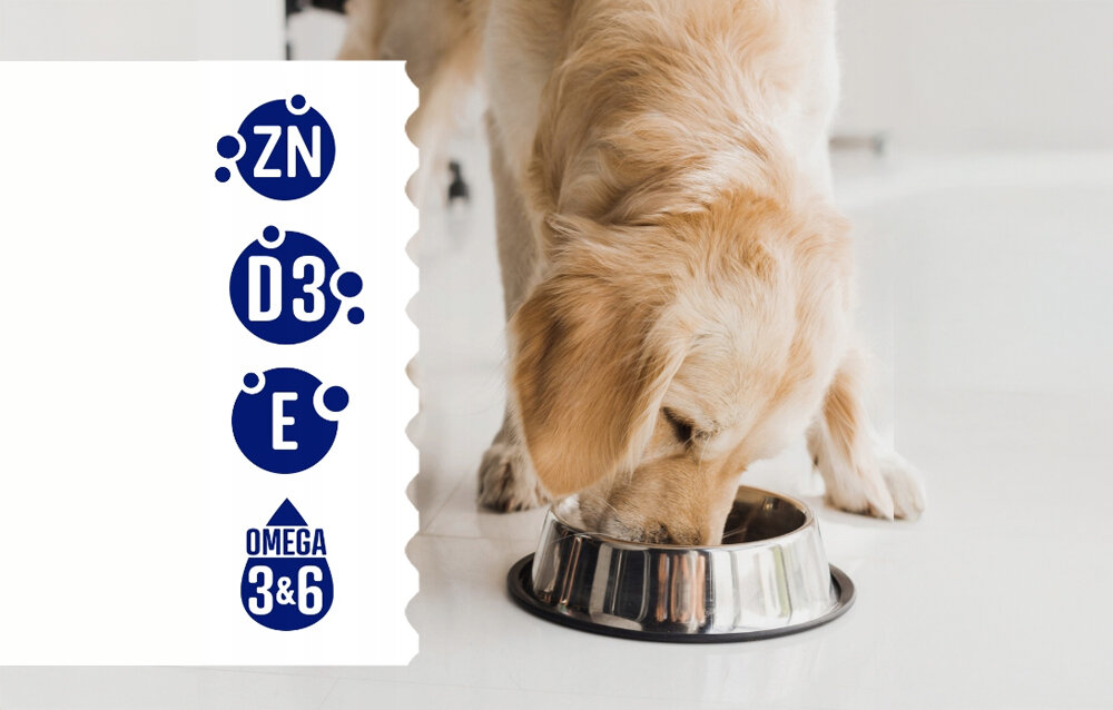 Pies je z metalowej miski na białej podłodze. Obok widoczne są symbole z napisami: ZN, D3, E, OMEGA 3&6.