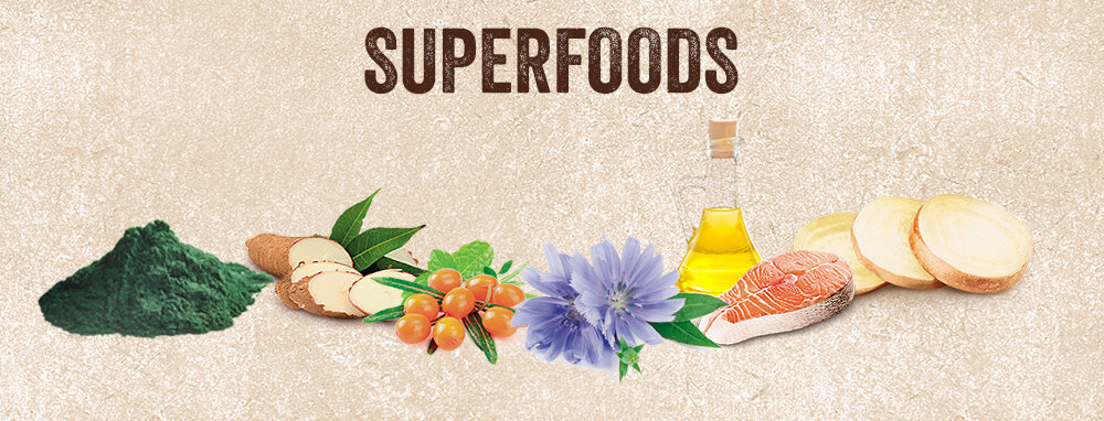Na obrazie widoczny jest napis \'SUPERFOODS\' oraz różne składniki, takie jak zielony proszek, korzenie, owoce, kwiat, olej, kawałek ryby i plasterki warzyw na jasnym tle.