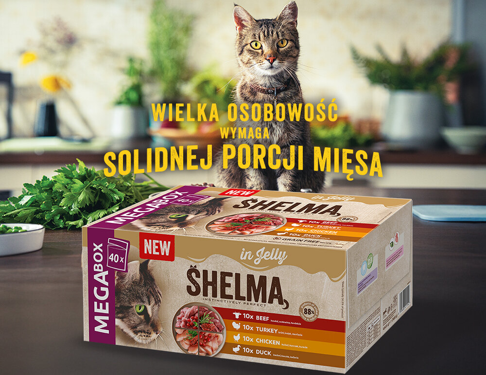 Na obrazie widoczny jest kot stojący za opakowaniem karmy SHELMA Mix Smaków 40 x 85 g. Na opakowaniu znajduje się napis: \'WIELKA OSOBOWOŚĆ WYMAGA SOLIDNEJ PORCJI MIĘSA\'.