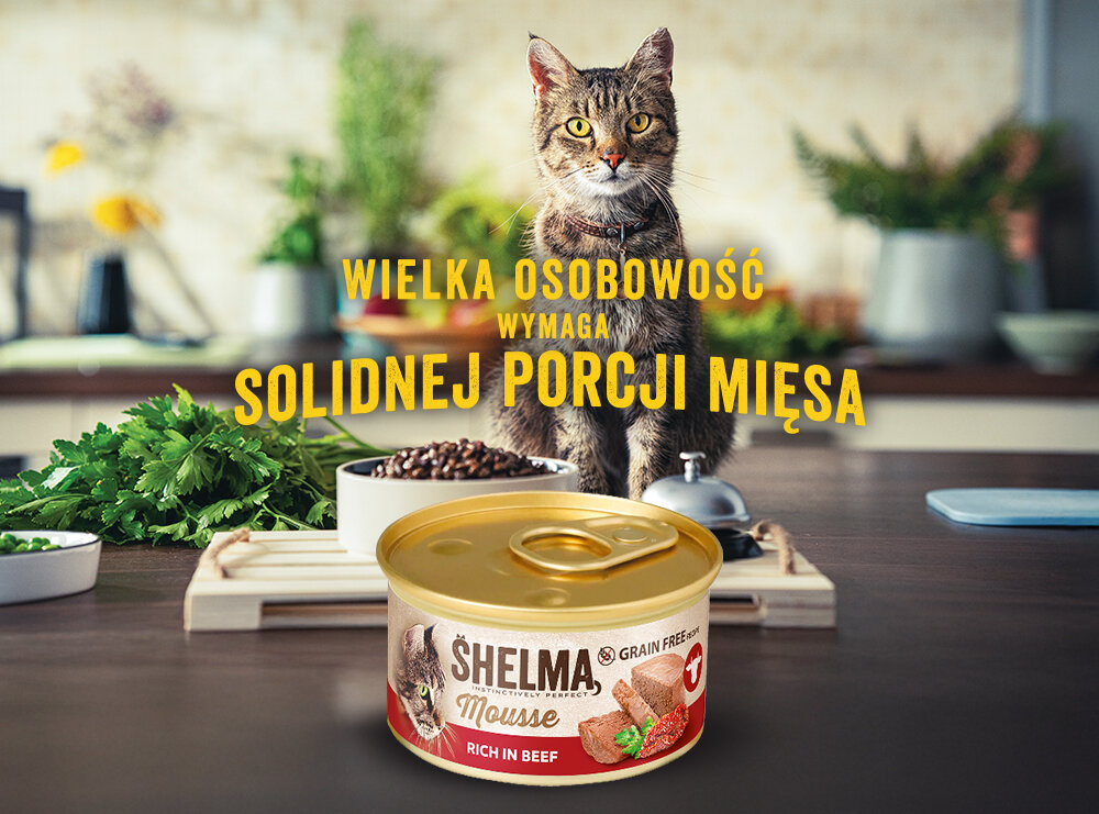Na pierwszym planie znajduje się puszka karmy dla kota SHELMA z wołowiną, pomidorem i pietruszką. W tle widoczny jest kot oraz tekst: \'WIELKA OSOBOWOŚĆ WYMAGA SOLIDNEJ PORCJI MIĘSA\'.
