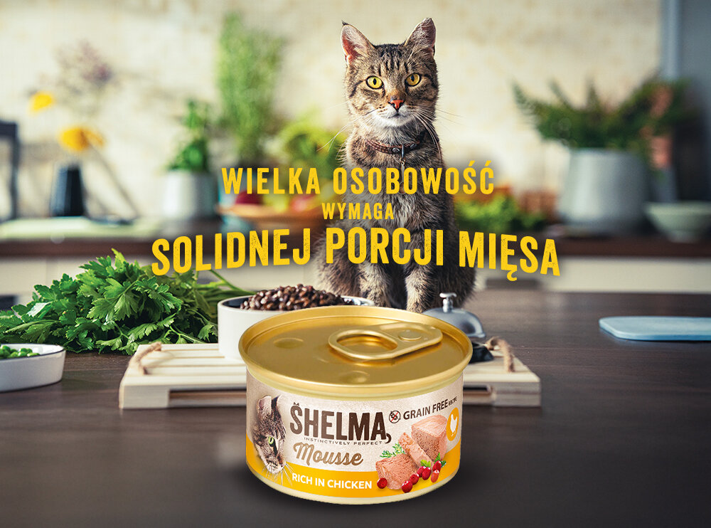 Na pierwszym planie znajduje się puszka karmy dla kota SHELMA z kurczakiem, żurawiną i tymiankiem. W tle widoczny jest kot oraz napis: \'WIELKA OSOBOWOŚĆ WYMAGA SOLIDNEJ PORCJI MIĘSA\'.