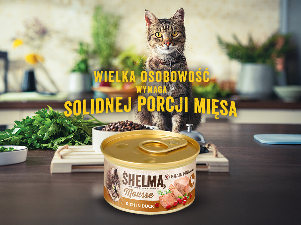 Na pierwszym planie znajduje się puszka karmy dla kota SHELMA z kaczką, żurawiną i tymiankiem. W tle widoczny jest kot oraz napis: \'WIELKA OSOBOWOŚĆ WYMAGA SOLIDNEJ PORCJI MIĘSA\'.