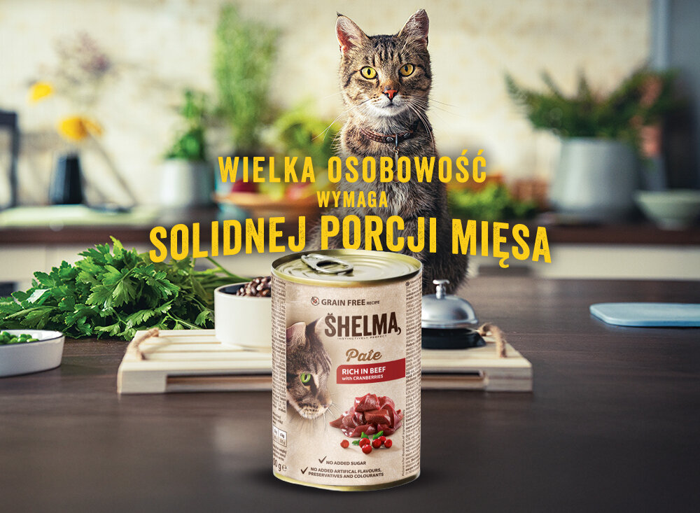 Na pierwszym planie znajduje się puszka karmy dla kota SHELMA Pate, a w tle widać kota stojącego na blacie kuchennym. Tekst na obrazie: \'WIELKA OSOBOWOŚĆ WYMAGA SOLIDNEJ PORCJI MIĘSA\'.