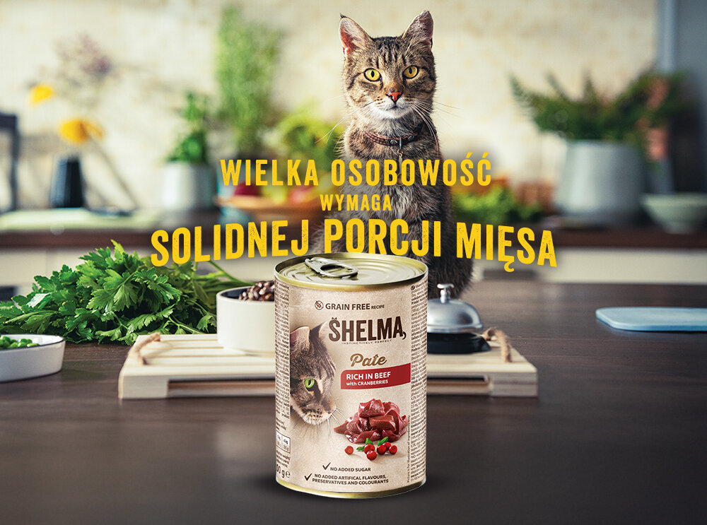 Na obrazie widoczna jest puszka karmy dla kota SHELMA Pate Wołowina z żurawiną 400 g, a w tle znajduje się kot oraz kuchenne akcesoria. Tekst na obrazie: \'WIELKA OSOBOWOŚĆ WYMAGA SOLIDNEJ PORCJI MIĘSA\'.