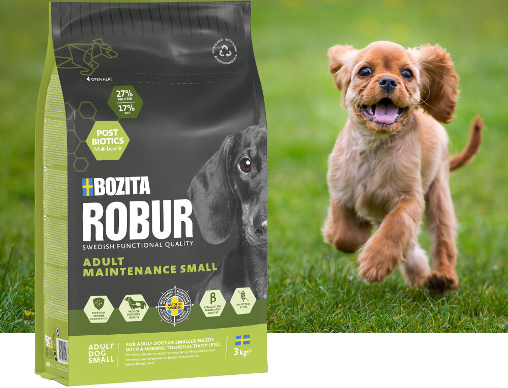 Opakowanie karmy dla psa marki BOZITA Robur Adult Maintenance Small o wadze 3 kg, z widocznym wizerunkiem psa i informacjami o składnikach odżywczych. Obok opakowania biegnie mały pies na trawie.