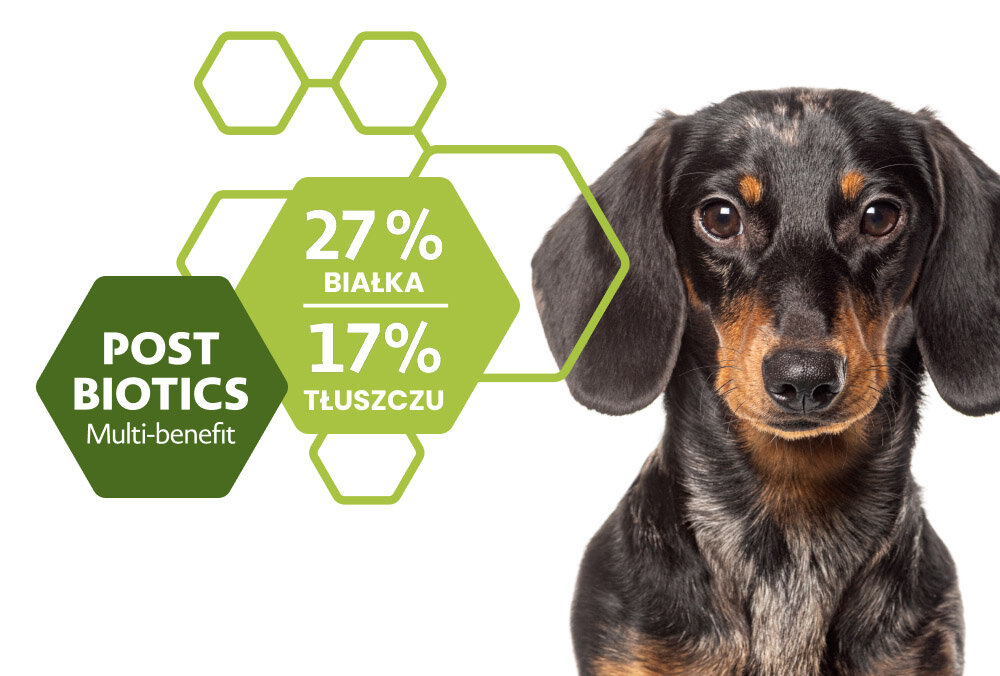 Obraz przedstawia psa obok grafiki z sześciokątami, na której widnieje tekst: \'POST BIOTICS Multi-benefit\', \'27% BIAŁKA\', \'17% TŁUSZCZU\'.