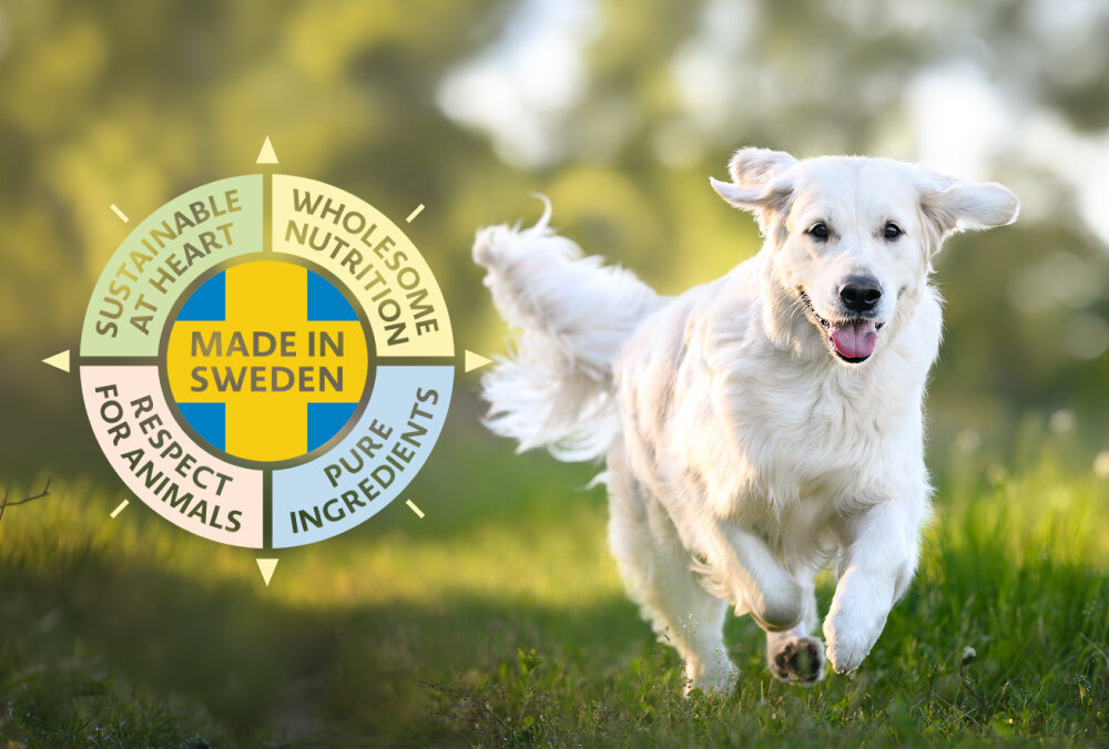 Na obrazie widać psa biegnącego po trawie oraz okrągły emblemat z napisem \'MADE IN SWEDEN\' otoczony hasłami: \'SUSTAINABLE AT HEART\', \'WHOLESOME NUTRITION\', \'RESPECT FOR ANIMALS\', \'PURE INGREDIENTS\'.