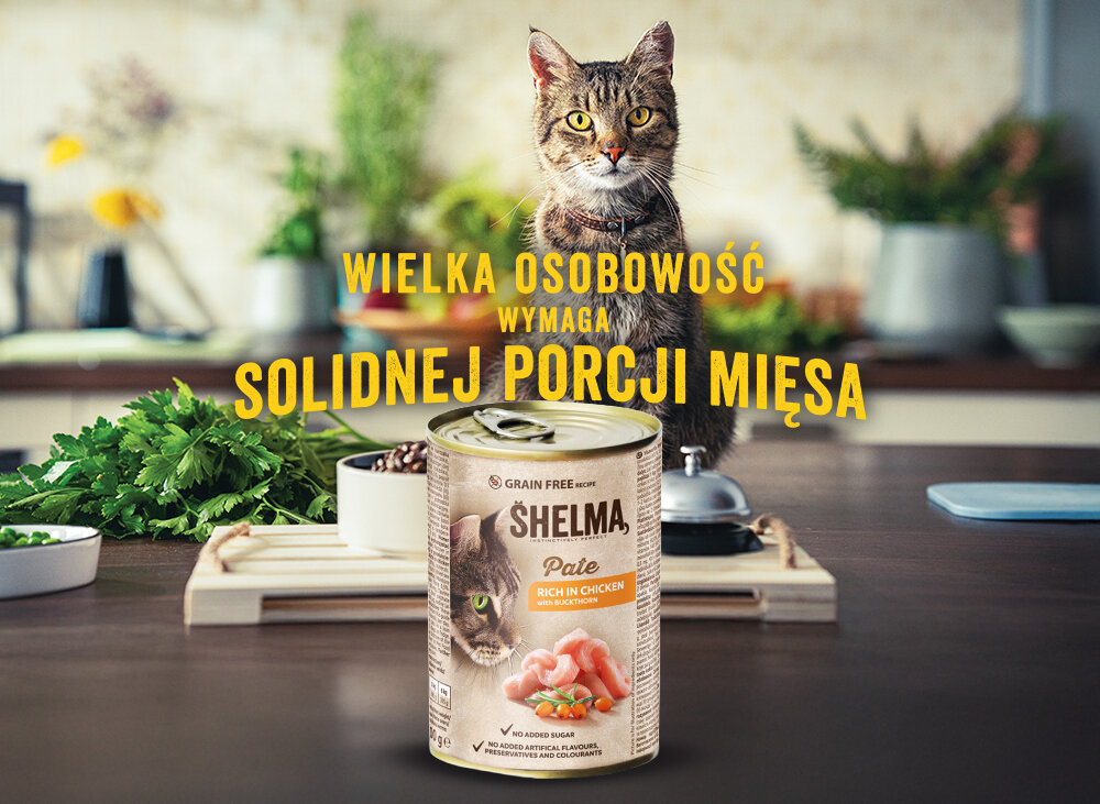 Na obrazie widoczna jest puszka karmy dla kota SHELMA Pate z kurczakiem, a w tle znajduje się kot na blacie kuchennym. Tekst na obrazie brzmi: \'WIELKA OSOBOWOŚĆ WYMAGA SOLIDNEJ PORCJI MIĘSA\'.