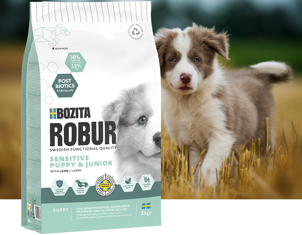 Opakowanie karmy dla psa BOZITA Robur Sensitive Puppy & Junior z jagnięciną 3 kg, z widocznym logo i zdjęciem szczeniaka. W tle znajduje się szczeniak stojący na polu.